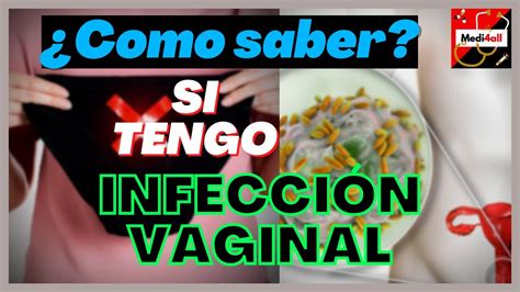 porno de vagina|Vagina Porn Videos 